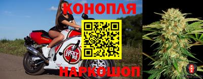 бошки Можга