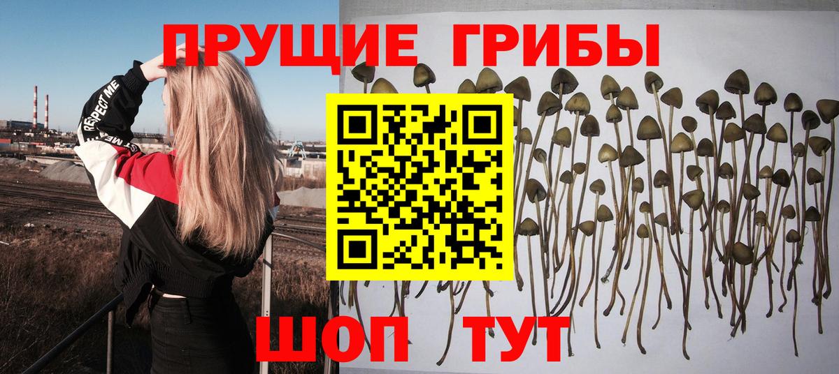 Галлюциногенные грибы ЛСД Чехов