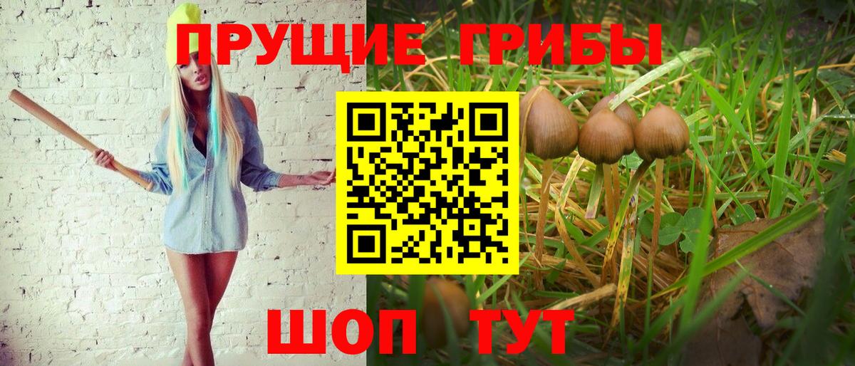 Псилоцибиновые грибы мухоморы  Вход с VPN  Чехов 